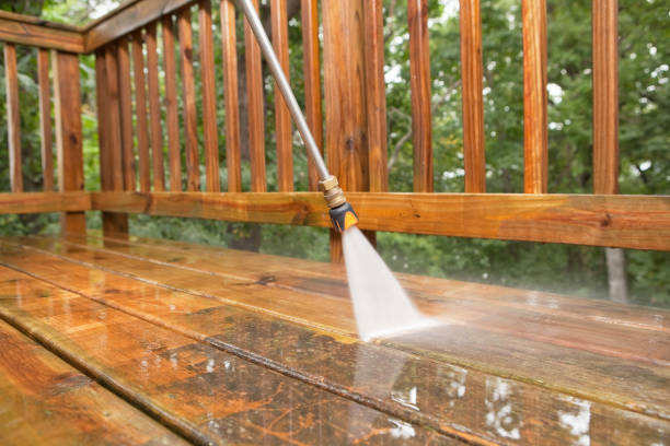 Professional Pressure Washing in Port Labelle, FL
