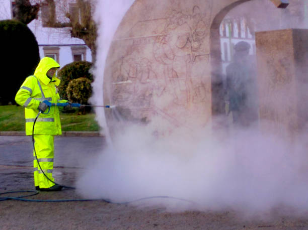 Best Roof Power Washing Services  in Port Labelle, FL