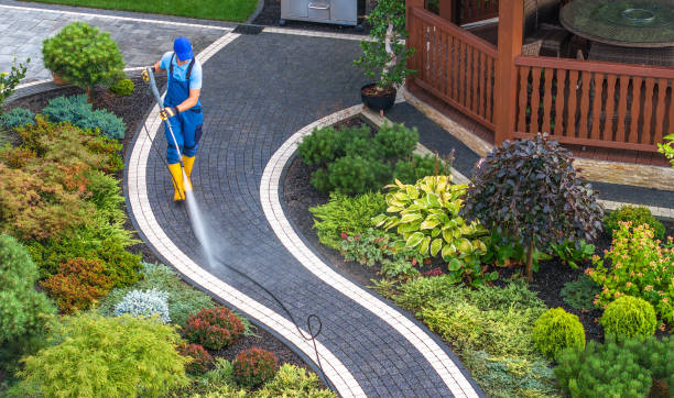 Best Roof Pressure Washing  in Port Labelle, FL